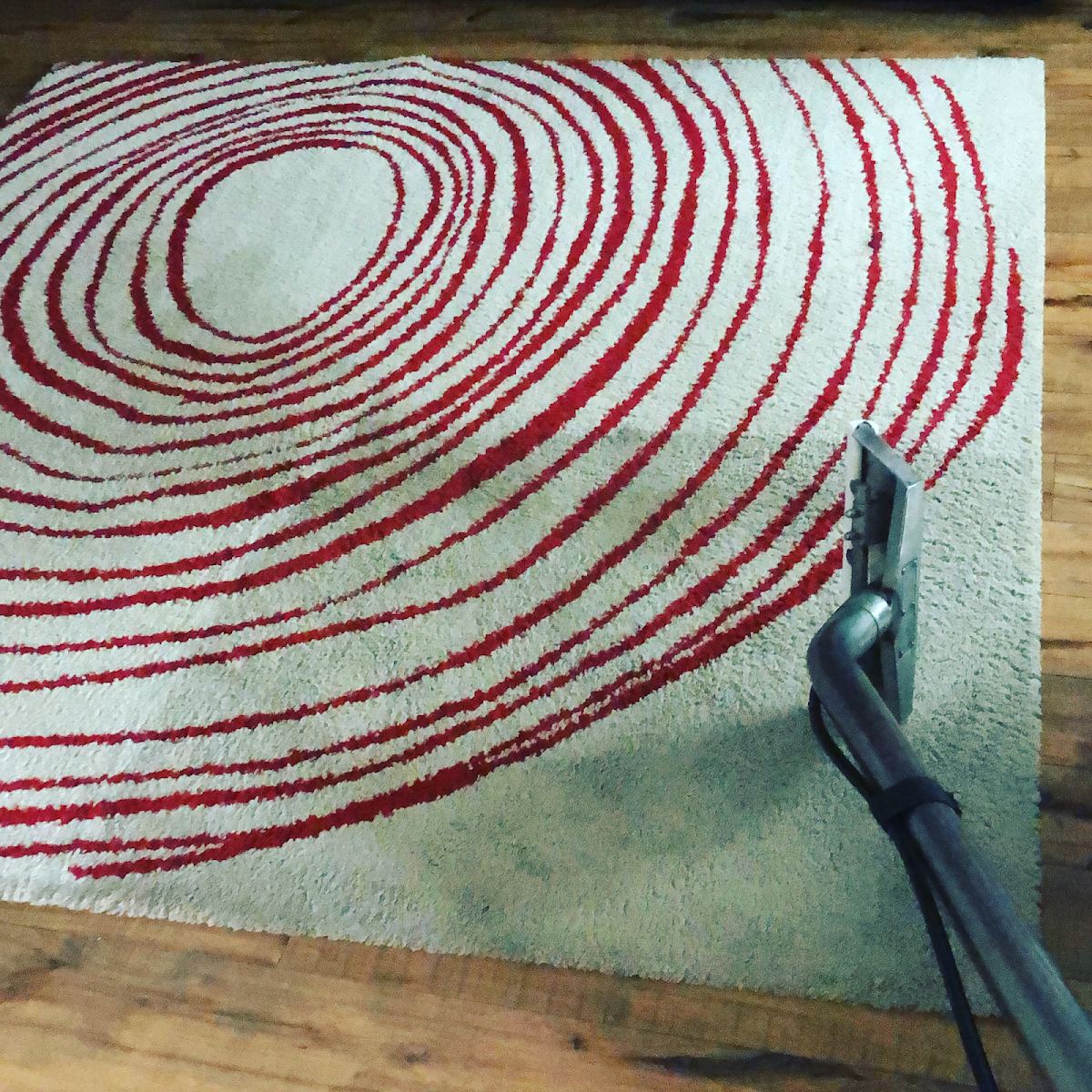 Area rug cleaning in progress on a patterned rug in Dallas