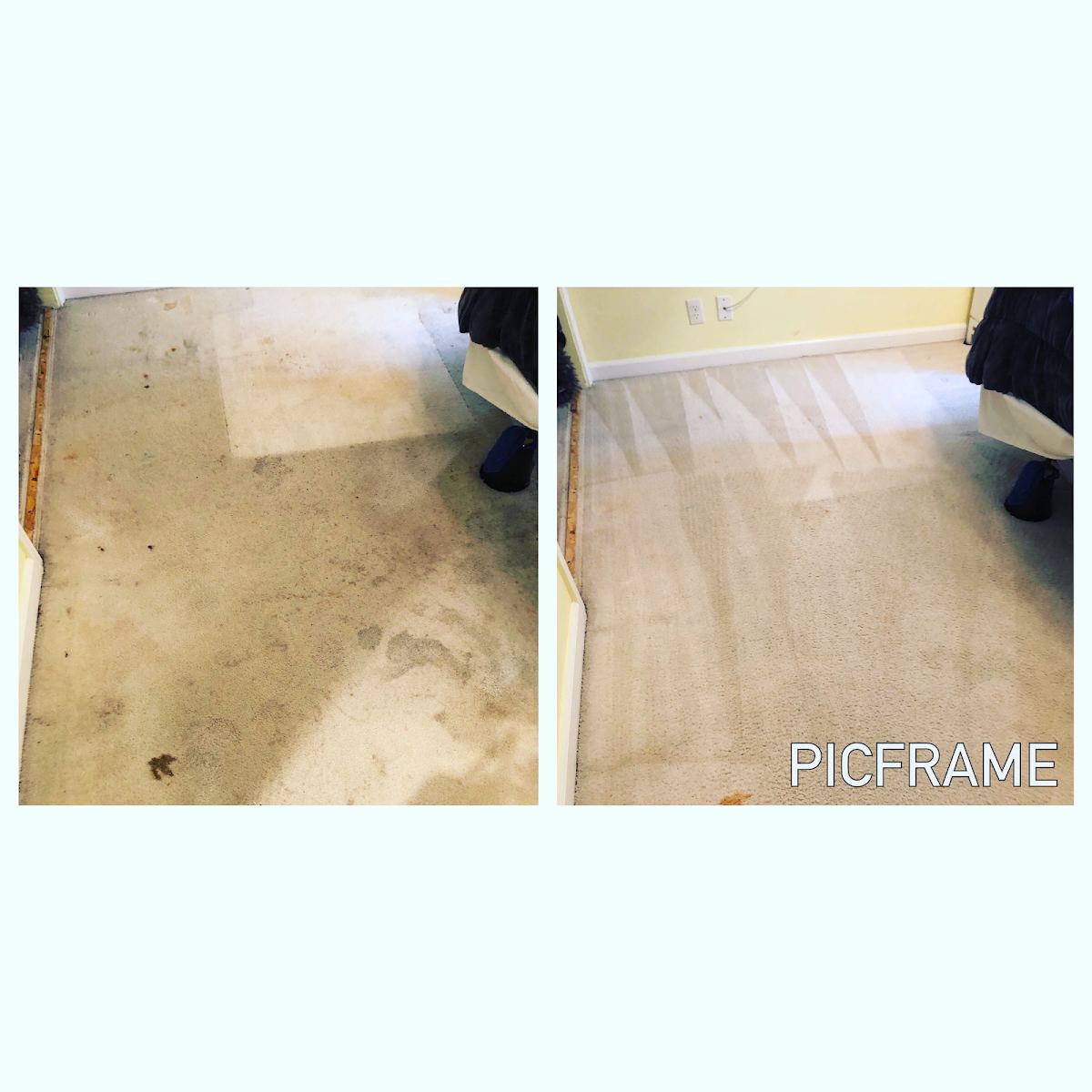 Pet stain and odor removal on Dallas home carpet