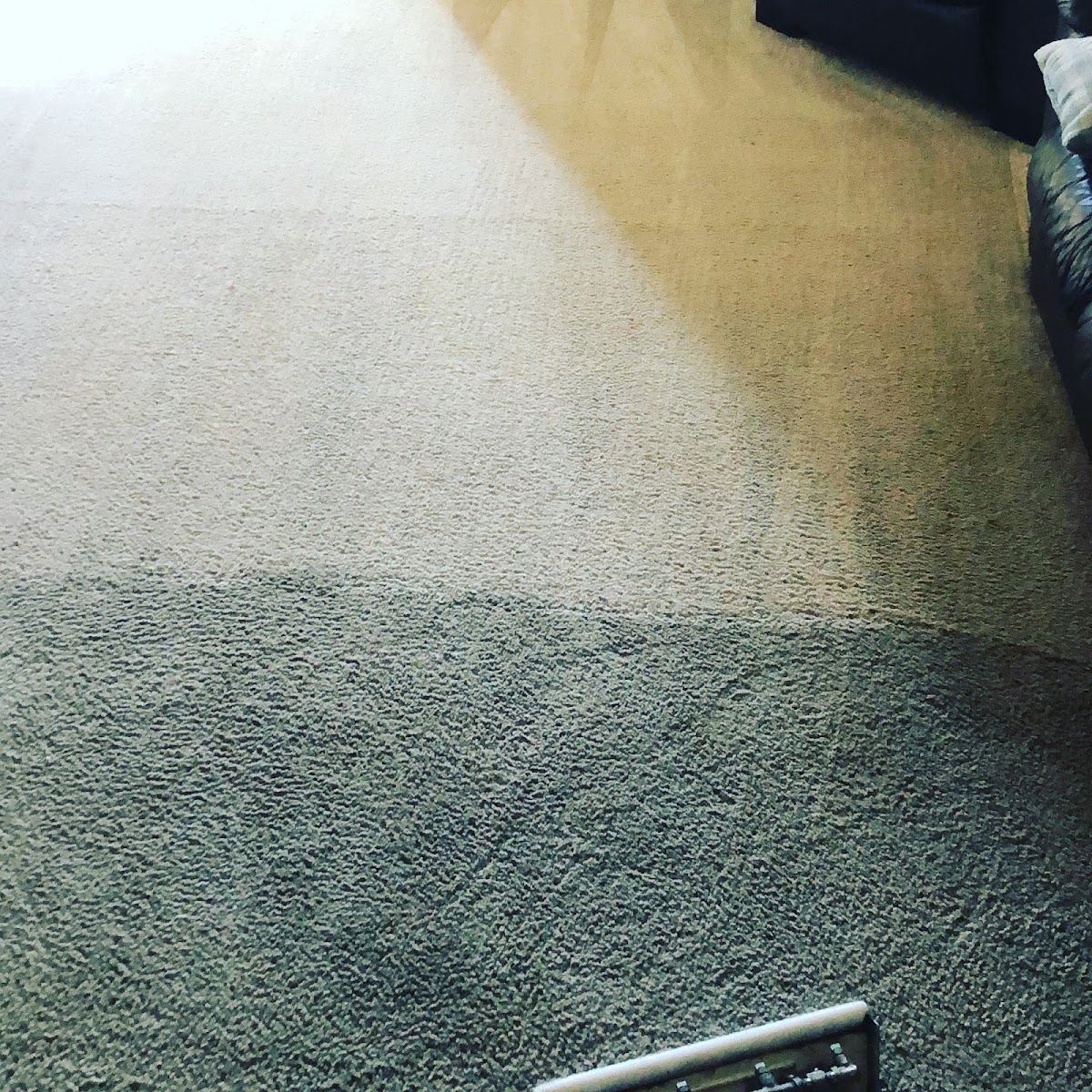 Carpet Protector in Dallas, TX by Diamond Steamers